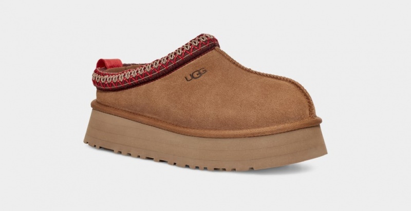 Ugg Tazz Women's Slippers Brown | BUTDCNP-54