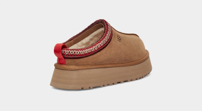 Ugg Tazz Women's Slippers Brown | BUTDCNP-54